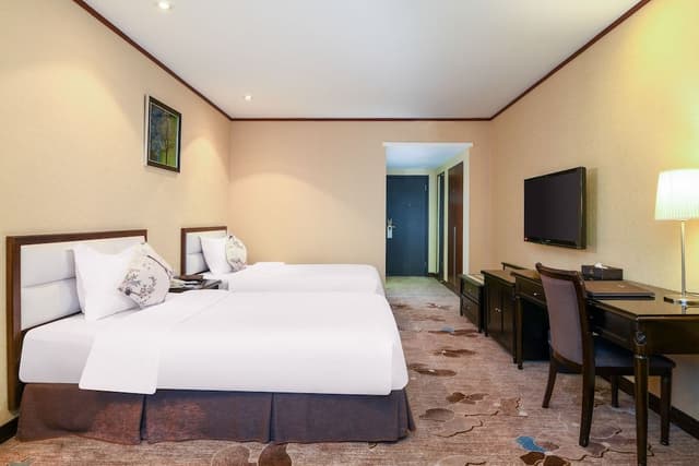 Deluxe Twin Room