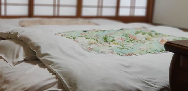 Japanese Style Room with Shared Bathroom, Sobo