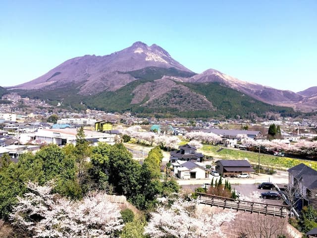 Twin Room, Mountain View