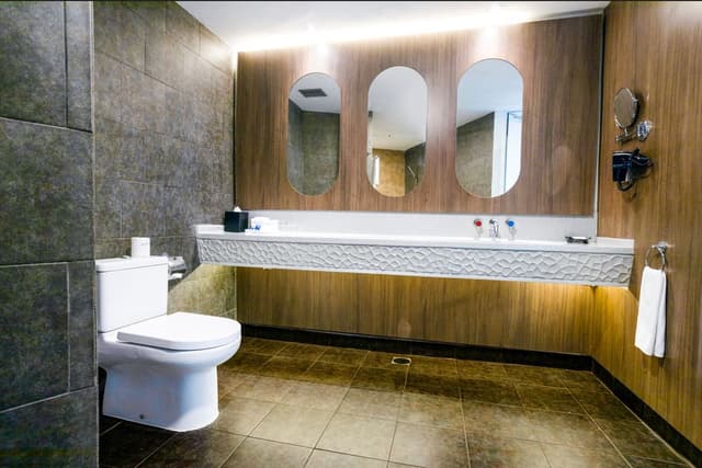 ASTON Suite