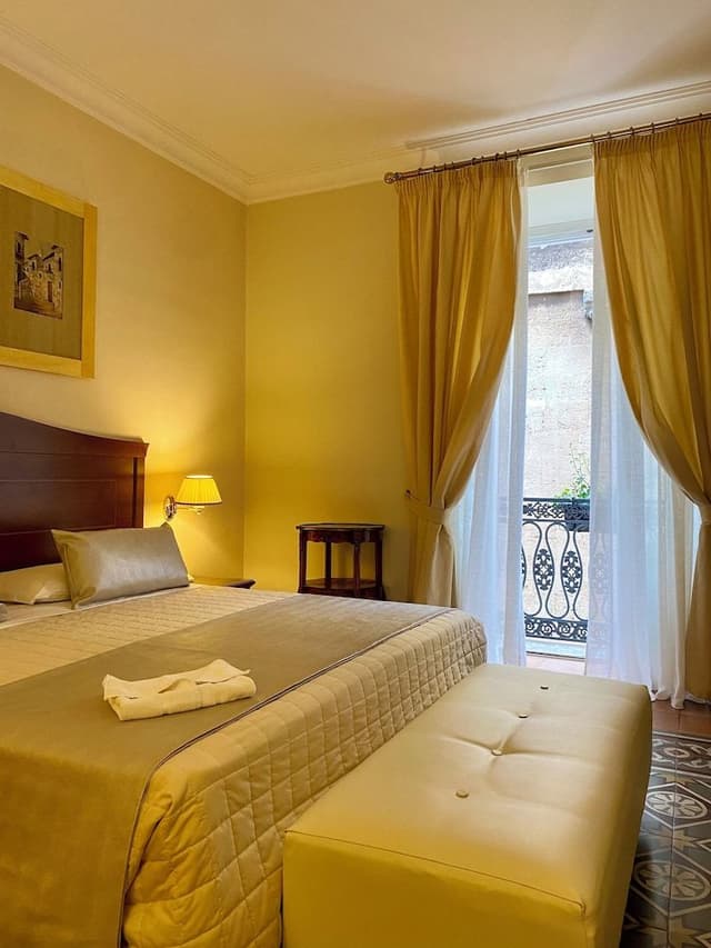 Deluxe Double or Twin Room