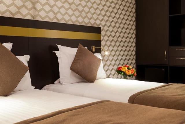 Superior Double or Twin Room