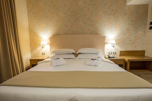 Superior Double Room Single Use