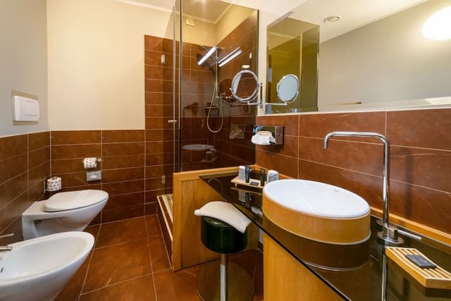 Classic Double Room Single Use, 1 King Bed