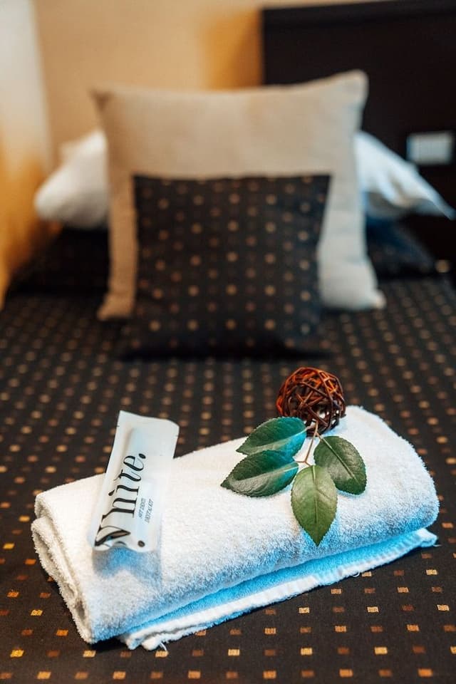 Double Room Single Use