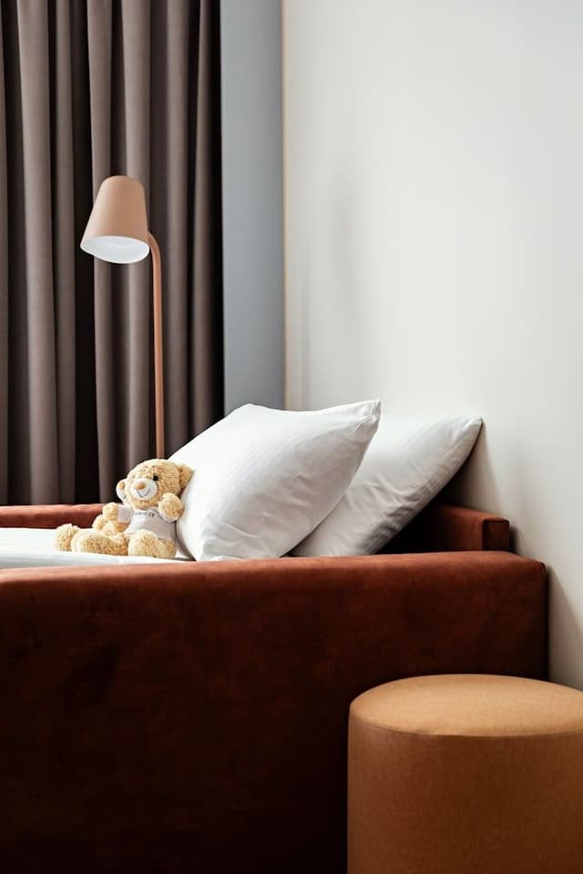 Superior Room, 1 King Bed with Sofa bed