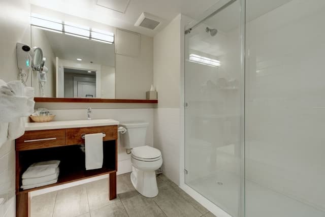 City Suite, 1 King Bed with Sofa bed
