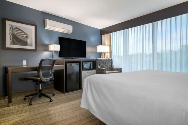 Standard Room, 1 King Bed, Non Smoking, Refrigerator