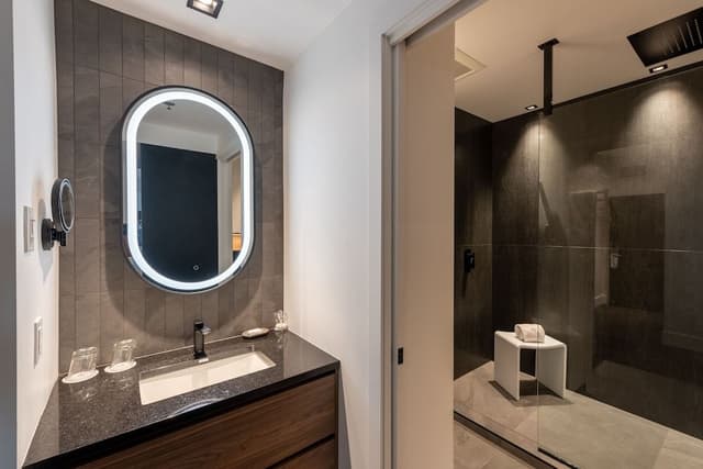 Suite, 1 King Bed