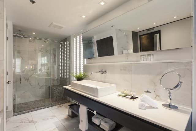 King Suite with open bathroom