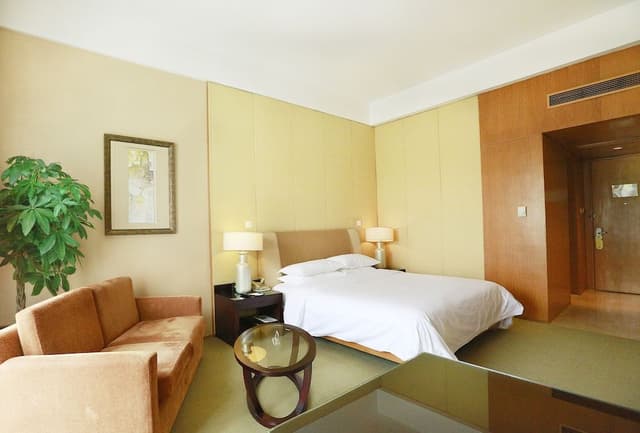 Executive Room, Balcony