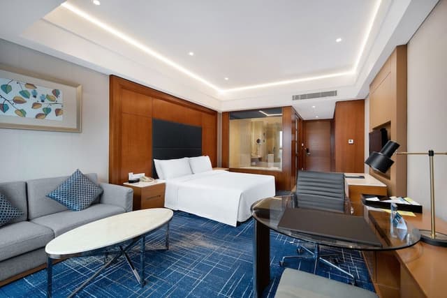 Room, 1 King Bed