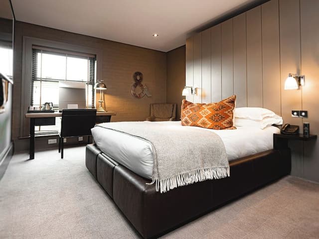 Executive Room, 1 King Bed