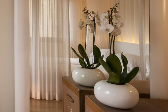 Superior Double Room (Continentale)