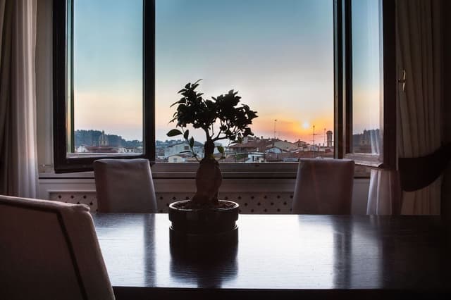 Suite, City View (Belvedere)
