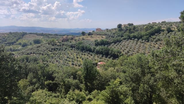 Deluxe Double Room, Terrace, Valley View