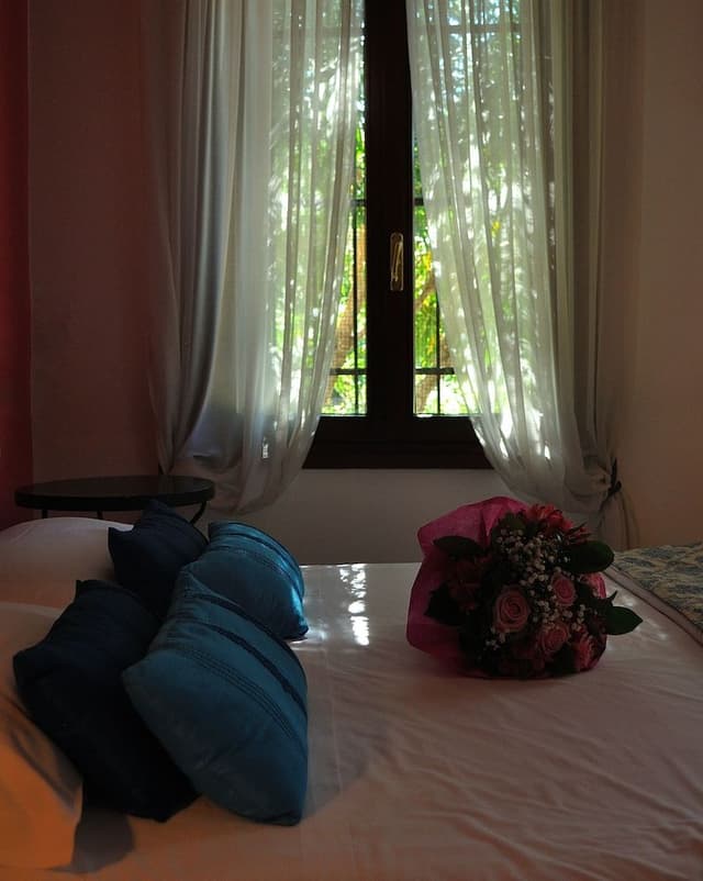 Classic Double or Twin Room