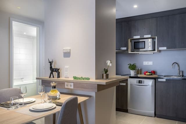 Executive Apartment, 1 Bedroom