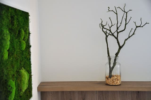 City Twin Room