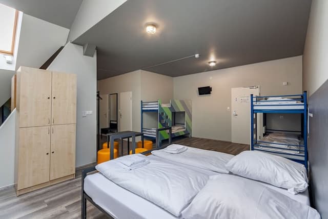 Bed in 6-Bed Dormitory