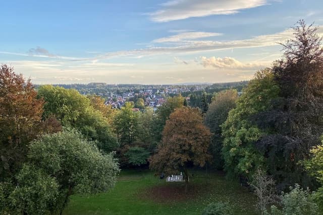 Panoramic Room, 1 Bedroom, Balcony, Valley View