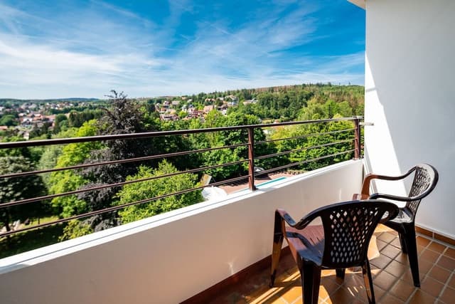 Panoramic Room, 1 Bedroom, Balcony, Valley View