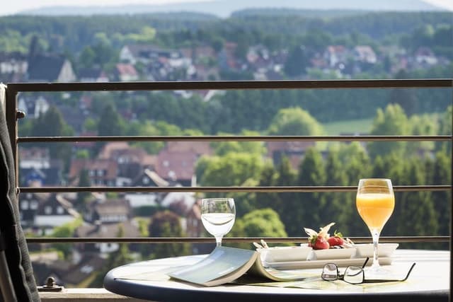 Panoramic Room, 1 Bedroom, Balcony, Valley View