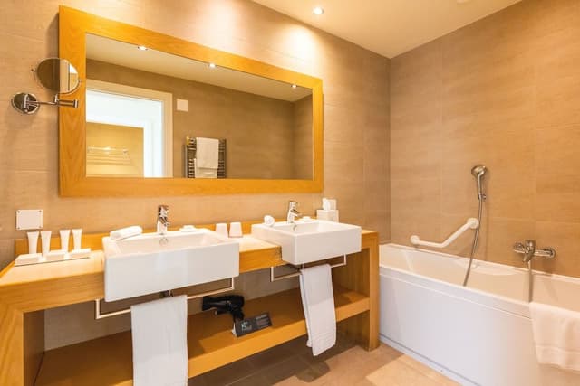 Panoramic Studio Suite, Lake View