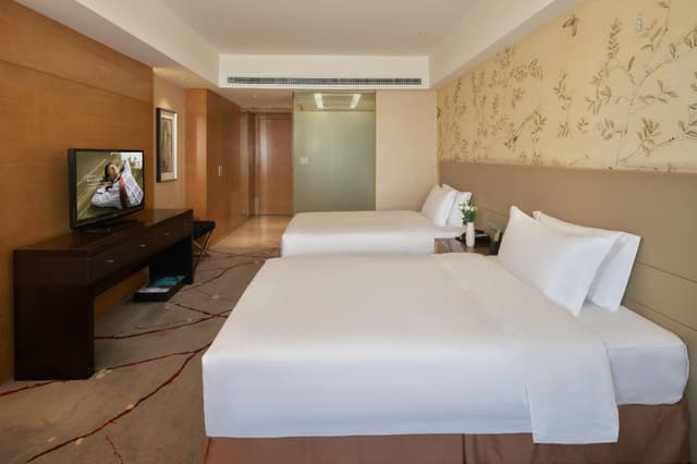 Executive Twin Room