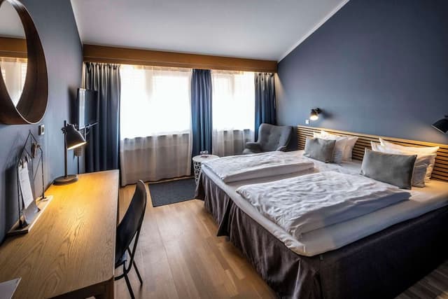 Room, 1 King Bed
