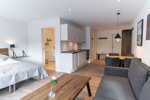Comfort Apartment