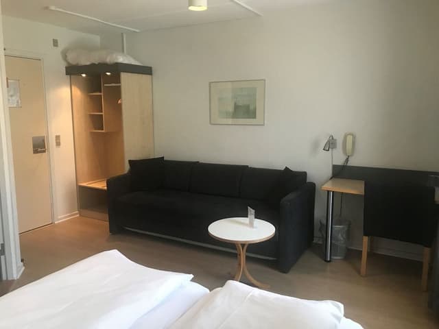 Standard Double Room (with Sleeping Couch)