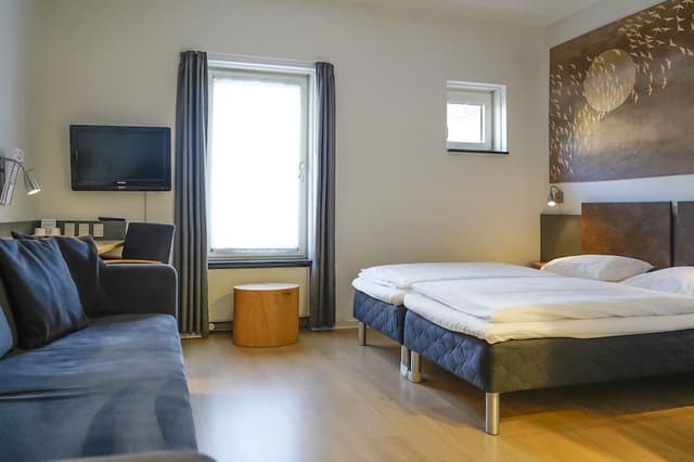 Standard Double Room (with Sleeping Couch)