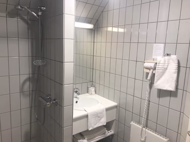 Standard Single Room, 1 Twin Bed