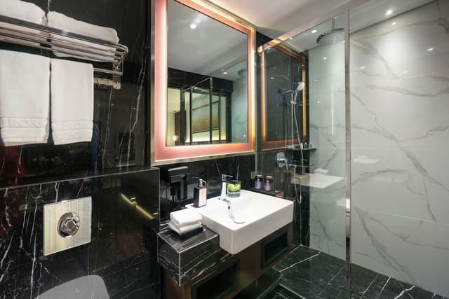 Deluxe Double or Twin Room With Internal Window