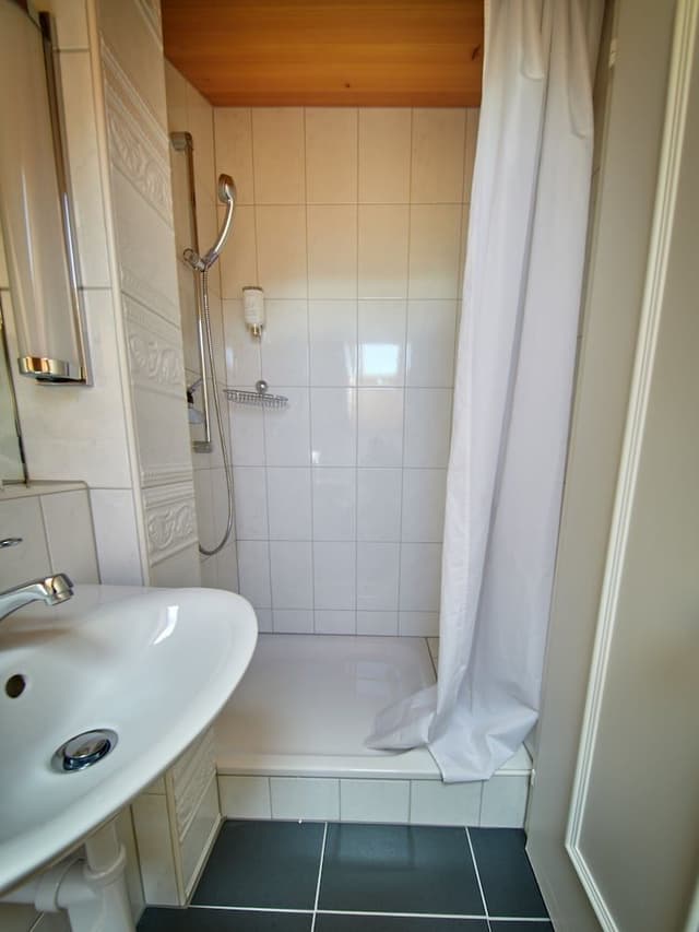 Apartment, 2 Bedrooms, Balcony, Mountain View