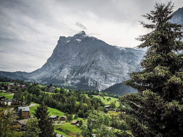 Junior Suite, Accessible, Private Bathroom (Wetterhorn)