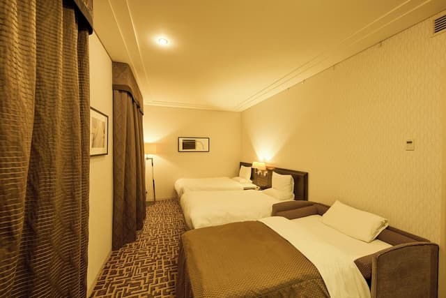 [Non-Smoking] Superior Twin Room