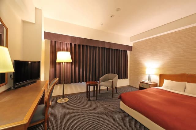 Economy Double Room, Non Smoking (Semi Double Room)