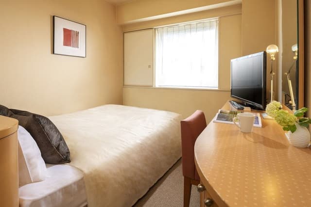 Deluxe Single Room, Smoking