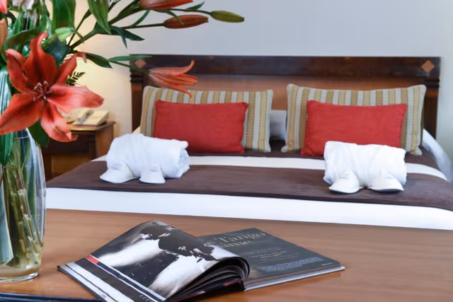 Standard King Room