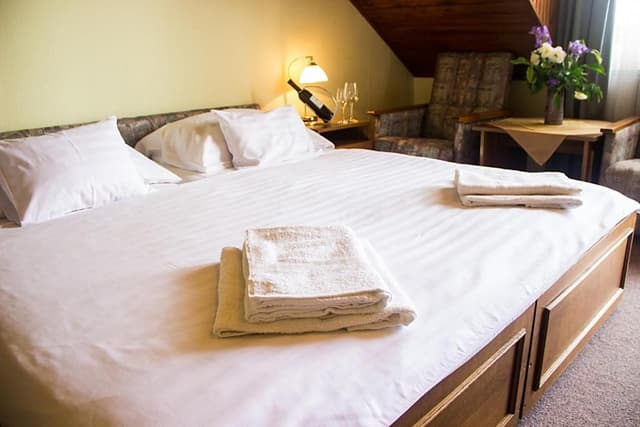 Superior Double or Twin Room