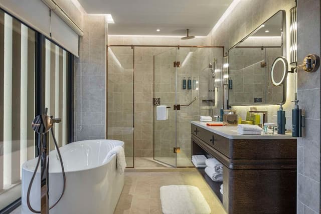 AMBASSADOR SUITE