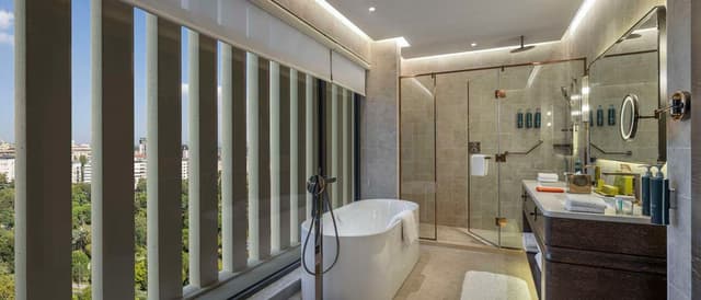 AMBASSADOR SUITE