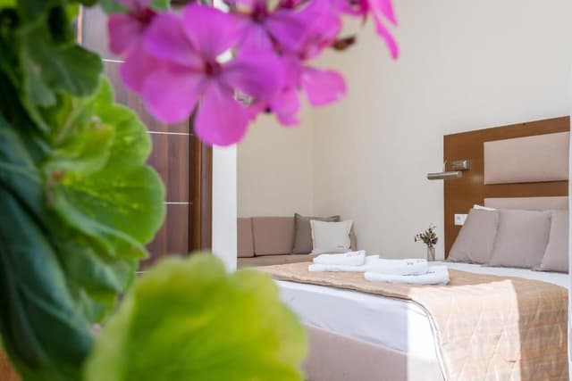 Double Room Ground Floor Pool View
