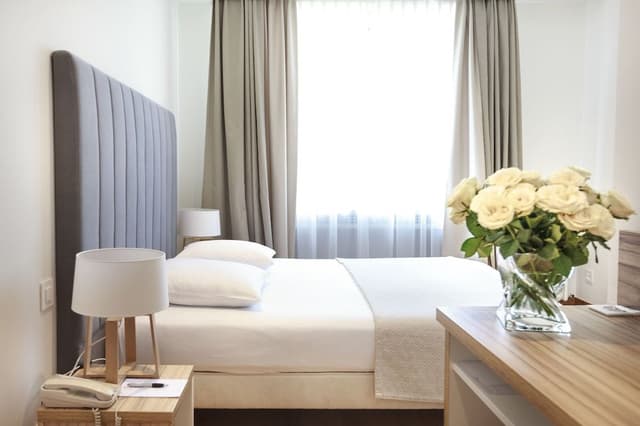 Classic Double Room