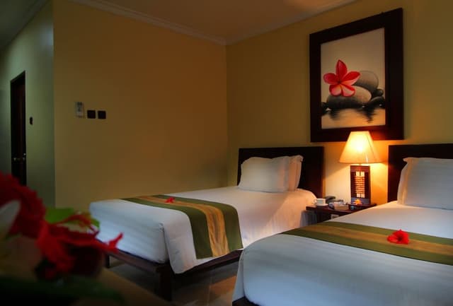 Superior Double or Twin Room