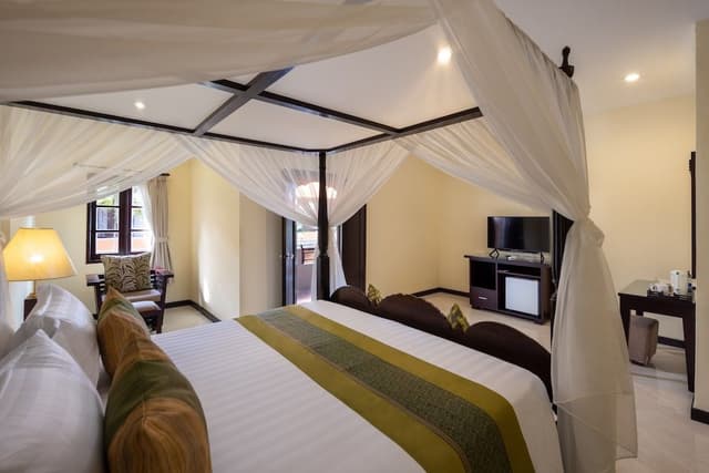 Deluxe Double or Twin Room