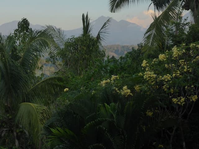 Villa Cempaka
