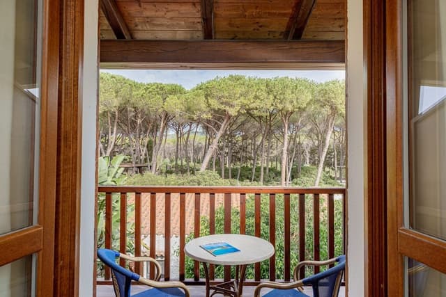 Double or Twin Room, Park View